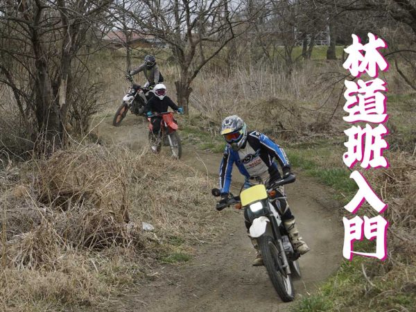 林道班入門アルバム