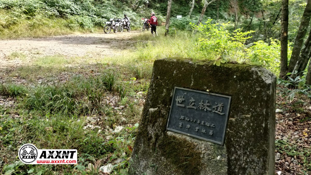 世立林道入口