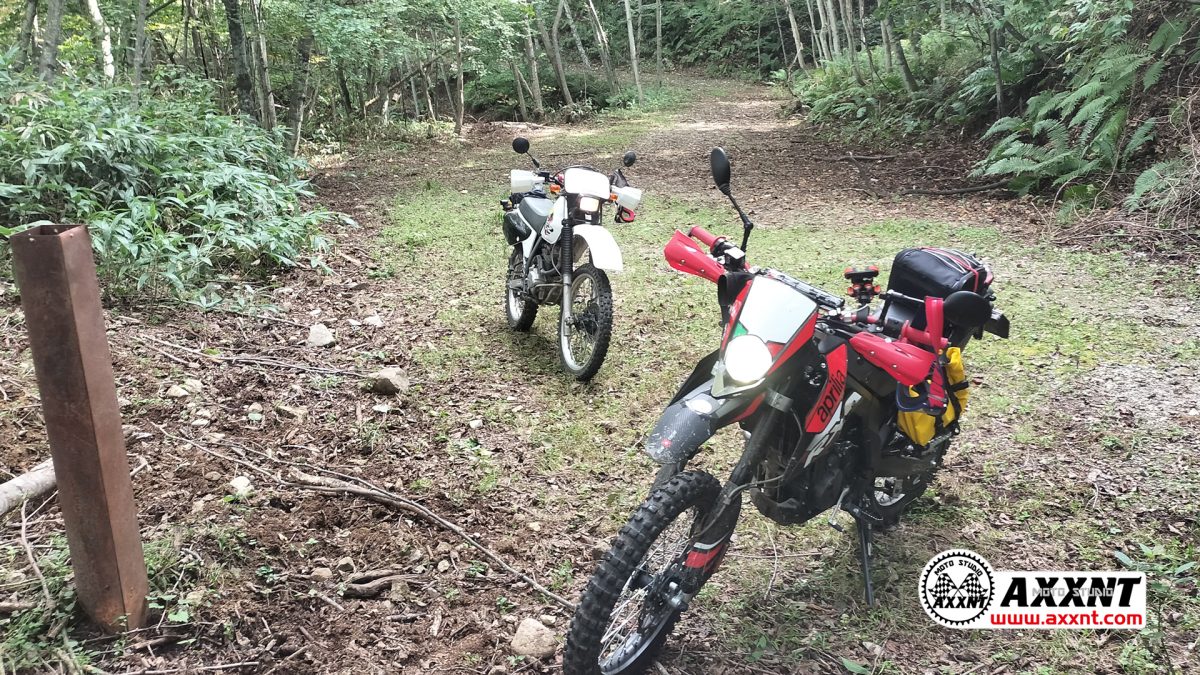 世立林道終点