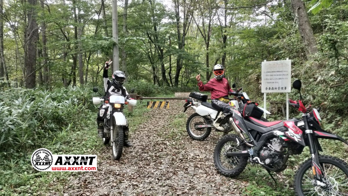 入山長笹林道