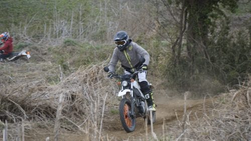 imd 20250315 132427