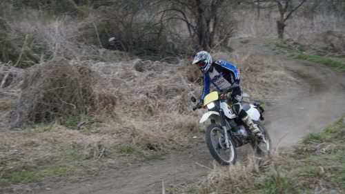 imd 20250315 150758