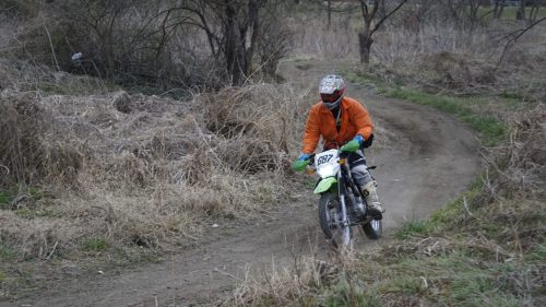 imd 20250315 150849
