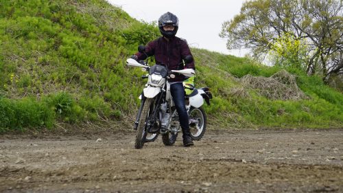 imd 20250415 091922