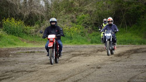 imd 20250415 092318