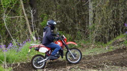 imd 20250415 103109