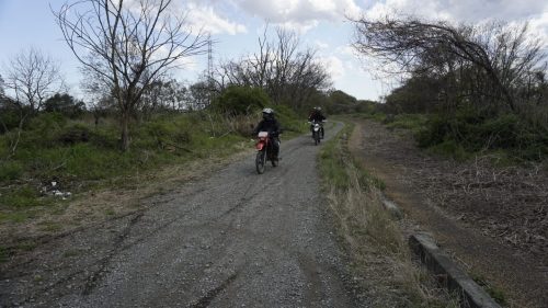 imd 20250415 141947