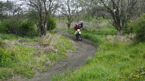 imd 20250415 142104