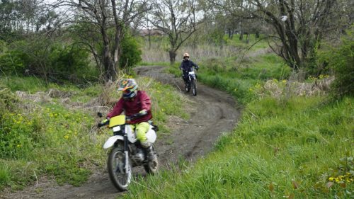 imd 20250415 142108