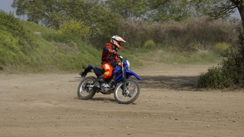 imd 20250422 092521