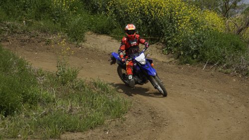 imd 20250422 102509