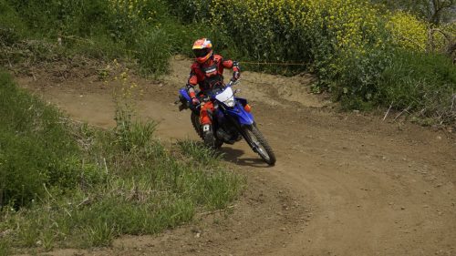 imd 20250422 102555 01
