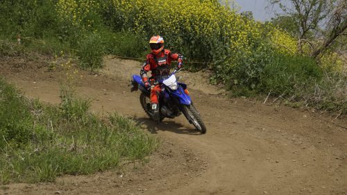 imd 20250422 102617 01