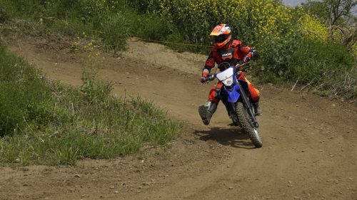 imd 20250422 102640 02