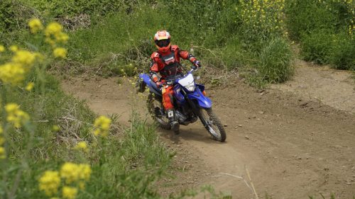imd 20250422 103325 01