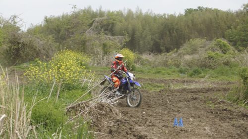 imd 20250422 110804