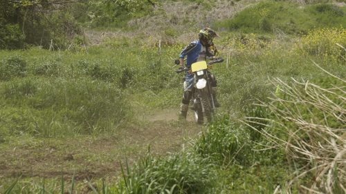 imd 20250422 110821 01