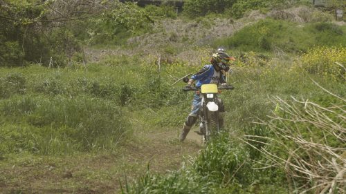 imd 20250422 110821 02