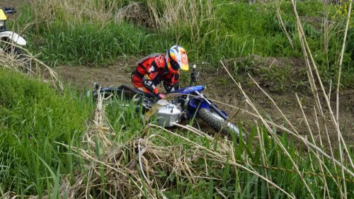 imd 20250422 142001 01