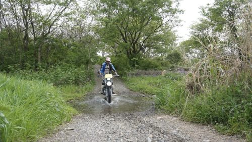 imd 20250422 153350 01