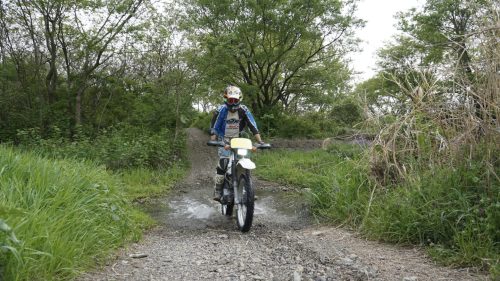 imd 20250422 153350 03