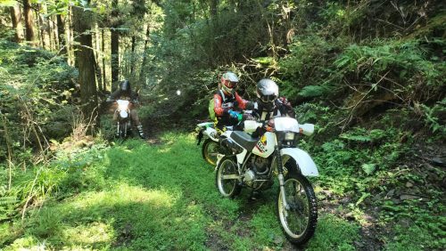 IMG20250906101248
