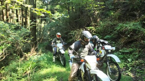 IMG20250906101255