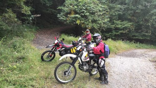 IMG20250928082602