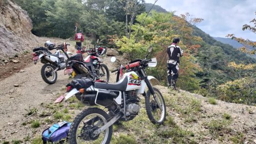 IMG20250928104847