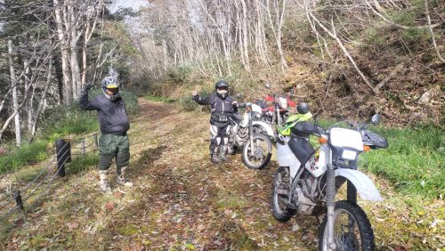 IMG20251101140618 01